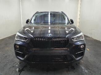 BMW X1 F48 XDrive 20d picture 2