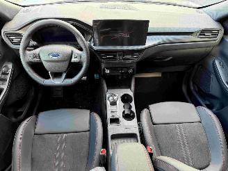 Ford Kuga ST-Line X picture 2