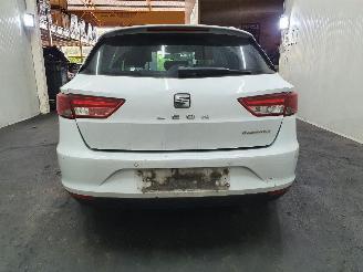 Seat Leon 5F8 ST Stylance picture 5