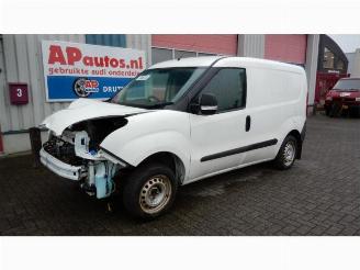Opel Combo Combo, Van, 2012 / 2018 1.3 CDTI 16V ecoFlex picture 1