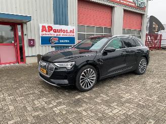 Avarii autoturisme Audi E-tron 55 QUATTRO 300kW 2019/7