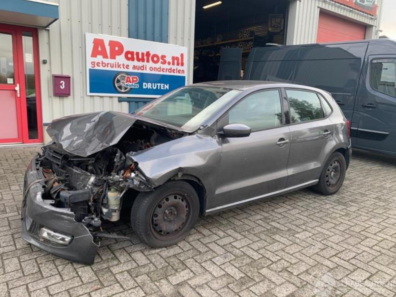 Volkswagen Polo Polo V (6R), Hatchback, 2009 / 2017 1.4 16V