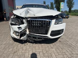 Audi Q5 Q5 (8RB), SUV, 2008 / 2017 3.2 FSI V6 24V Quattro picture 8