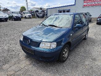 demontáž osobní automobily Volkswagen Polo 6N2 Rivierablauw LK5S Onderdelen 2001/9