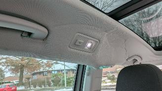 Volkswagen Golf Sportsvan 2.0 TDI DSG picture 26