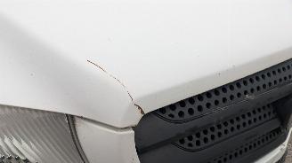 Mercedes Sprinter 906 Automatik 316 CDI picture 16