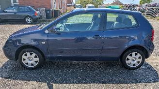 Volkswagen Polo 9N picture 8