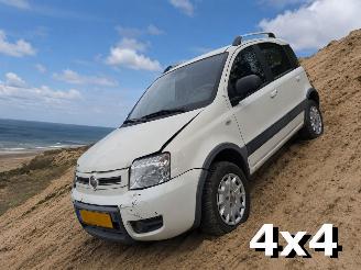 Damaged car Fiat Panda 1.2 Climbing 4x4 2010/4