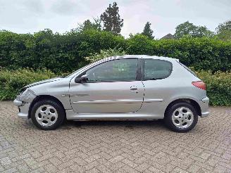 Peugeot 206 1.4 Quiksilver picture 13