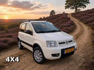 occasion passenger cars Fiat Panda 1.2 Climbing 4x4 2010/4