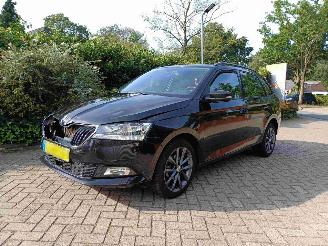 Unfallwagen Skoda Fabia Combi 1.0 TSI Business Edition 2019/9