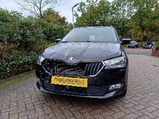 Skoda Fabia Combi 1.0 TSI Business Edition picture 20