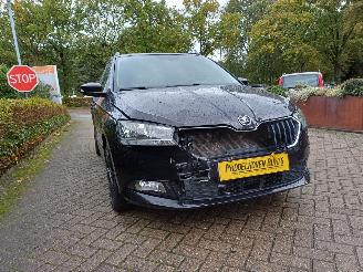 Skoda Fabia Combi 1.0 TSI Business Edition picture 21