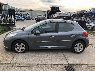 skadebil auto Peugeot 207 14i 16v 70kW 5 drs Clima 2009/7