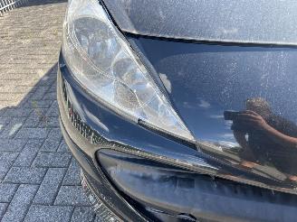 Peugeot 207 1.4 vti picture 16