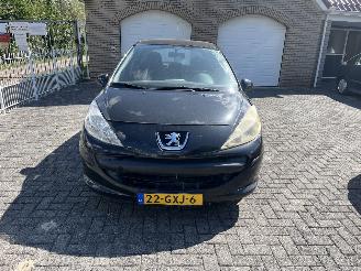 Peugeot 207 1.4 vti picture 8