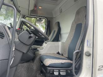 Volvo FL FL 210 Dhollandia Automaat Euro6 picture 13