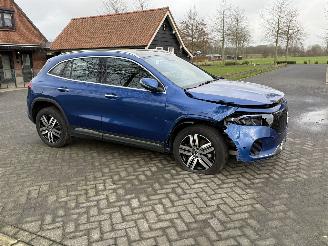 Mercedes EQA 71KWH EQA 250+ LUXURY LINE / Pano / Leer picture 3