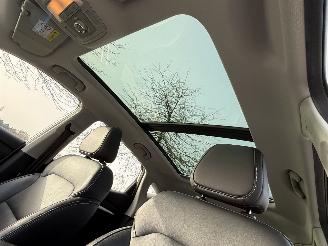 MG ZS EV Luxury 45 kWh Panorama / Leer picture 11