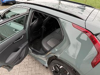 Kia Niro EV Dynamicline 64.8 kWh picture 5