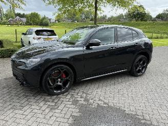 Vaurioauto  passenger cars Alfa Romeo Stelvio 2.2 MJD ATX Competizione 2023/4