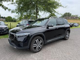 uszkodzony samochody osobowe Mercedes EQB 300 4Matic 168 kw / 7p / Leer 2024/8