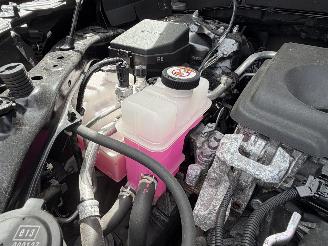 Toyota Rav-4 2.5 Hybrid / 131 KW / Panorama dak picture 9