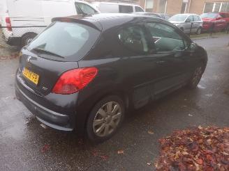 Peugeot 207 1.6 16V XS picture 5