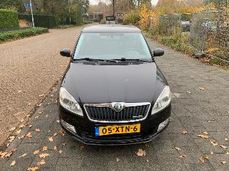 Unfallwagen Skoda Fabia 1.2 TDI GREENLINE 2012/9