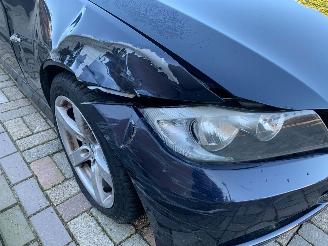 BMW 3-serie 318i high executive picture 7