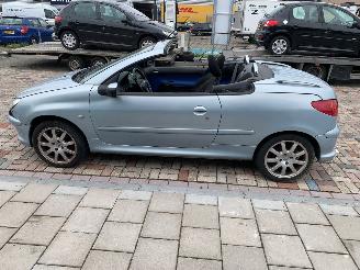 Peugeot 206 1.6 16V CABRIO picture 8