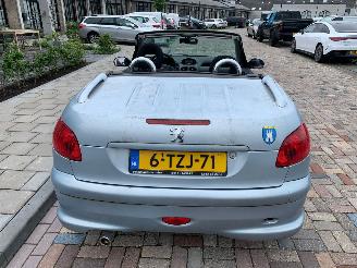 Peugeot 206 1.6 16V CABRIO picture 4