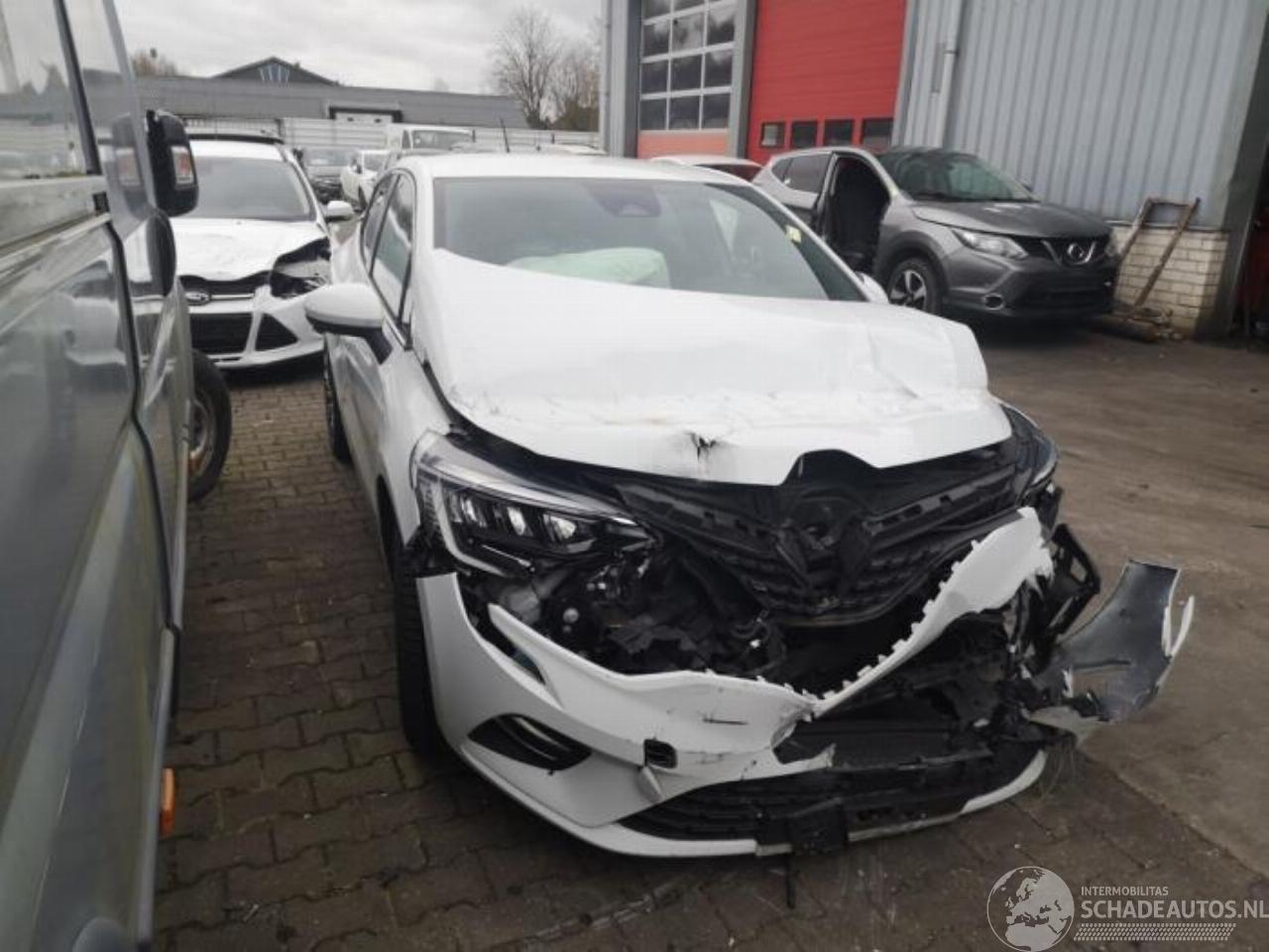 Renault Clio Clio V (RJAB), Hatchback 5-drs, 2019 1.0 TCe 100 12V