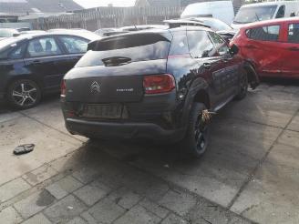 Citroën C4 cactus  picture 4