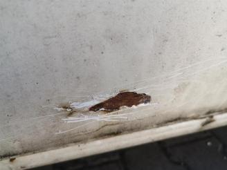 Volkswagen Transporter Transporter T5, Van, 2003 / 2015 2.5 TDi picture 9