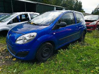 Sloopauto Renault Twingo 1.2 Authentique 2008/10