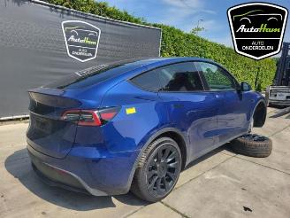 Tesla Model Y Model Y (5YJY), SUV, 2019 Long Range 72kWh picture 12