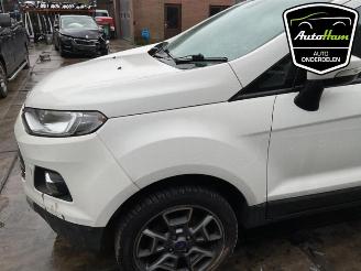 Ford EcoSport EcoSport (JK8), SUV, 2013 1.0 EcoBoost 12V 125 picture 22