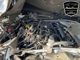 BMW 5-serie 5 serie Touring (G31), Combi, 2017 530i 2.0 TwinPower Turbo 16V Mild Hybrid picture 30