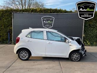 Salvage car Kia Picanto Picanto (JA), Hatchback, 2017 1.0 DPI 12V 2023/6