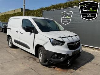 Opel Combo Combo Cargo, Van, 2018 1.5 CDTI 100 picture 2