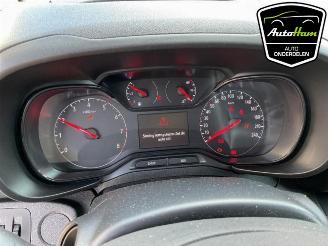 Opel Combo Combo Cargo, Van, 2018 1.5 CDTI 100 picture 15