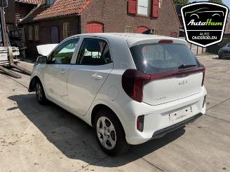 Kia Picanto Picanto (JA), Hatchback, 2017 1.0 DPI 12V picture 8
