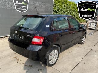 Skoda Fabia Fabia III (NJ3), Hatchback 5-drs, 2014 / 2021 1.0 TSI 12V picture 13