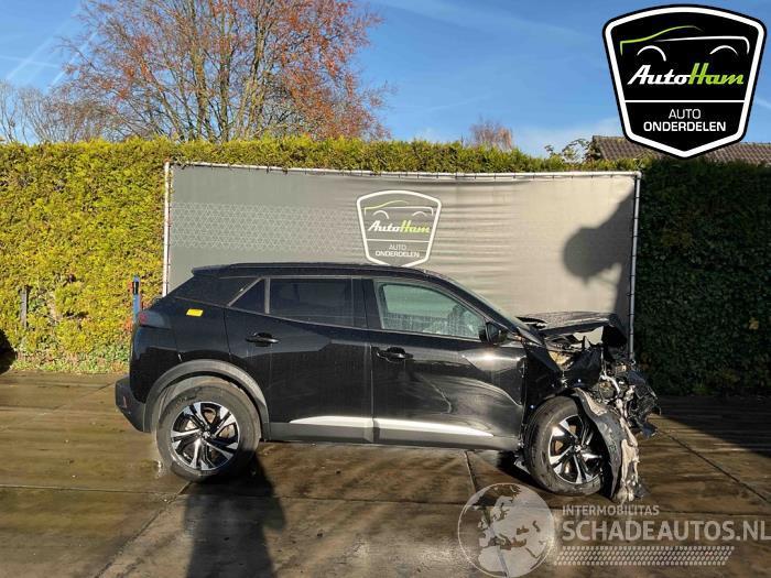 Peugeot 2008 2008 (UD/UK/UR/US/UX), MPV, 2019 1.2 VTi 12V PureTech 100