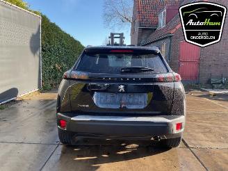 Peugeot 2008 2008 (UD/UK/UR/US/UX), MPV, 2019 1.2 VTi 12V PureTech 100 picture 7