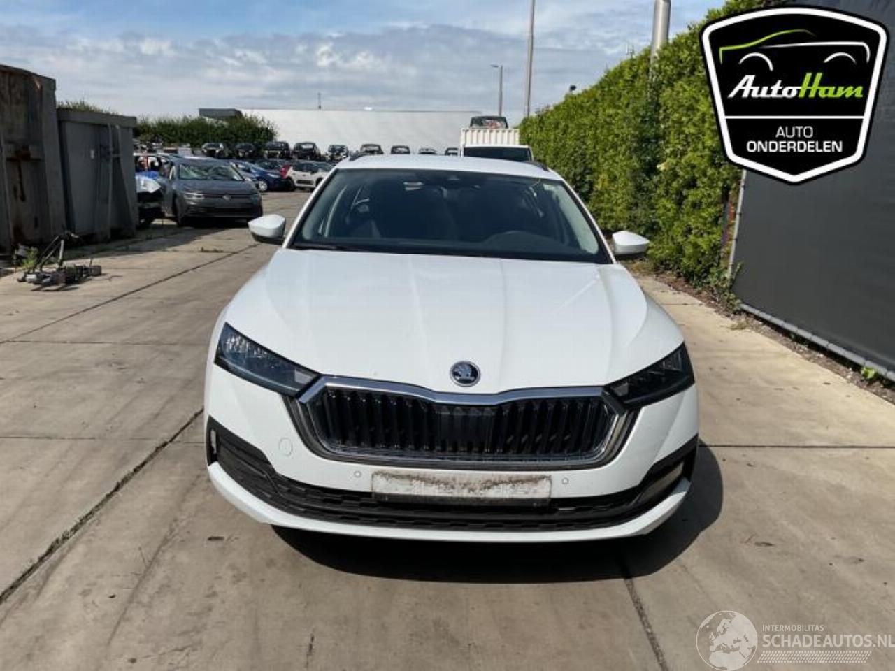 Skoda Octavia Octavia Combi (NXAC), Combi 5-drs, 2019 1.5 TSI e-TEC 16V