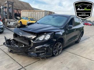 Ford Kuga Kuga III (DFK), SUV, 2019 2.5 PHEV 16V picture 4