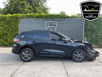 Uttjänta bilar auto Ford Kuga Kuga III (DFK), SUV, 2019 2.5 PHEV 16V 2023/6