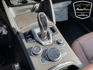 Alfa Romeo Stelvio Stelvio (949), SUV, 2017 2.0 T 16V Q4 picture 21